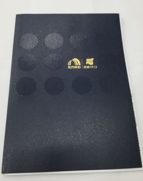 洛迪環(huán)?？萍计髽I(yè)宣傳畫冊印刷圖1