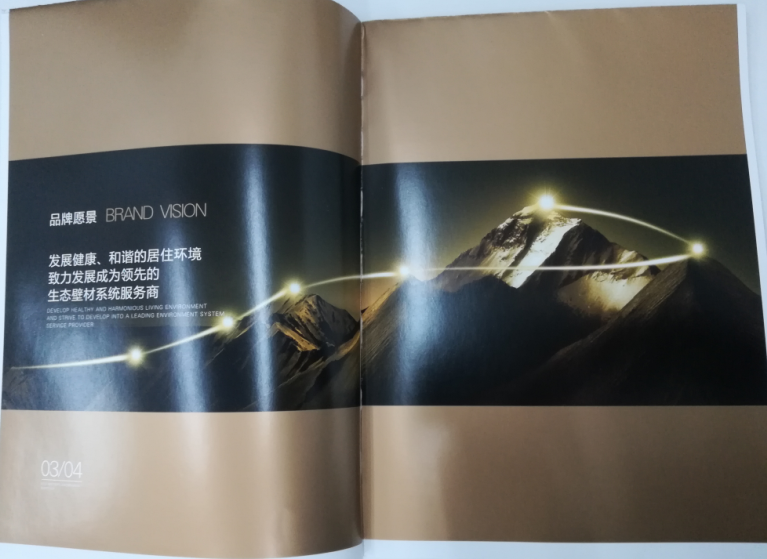 洛迪環(huán)?？萍计髽I(yè)宣傳畫冊印刷圖2